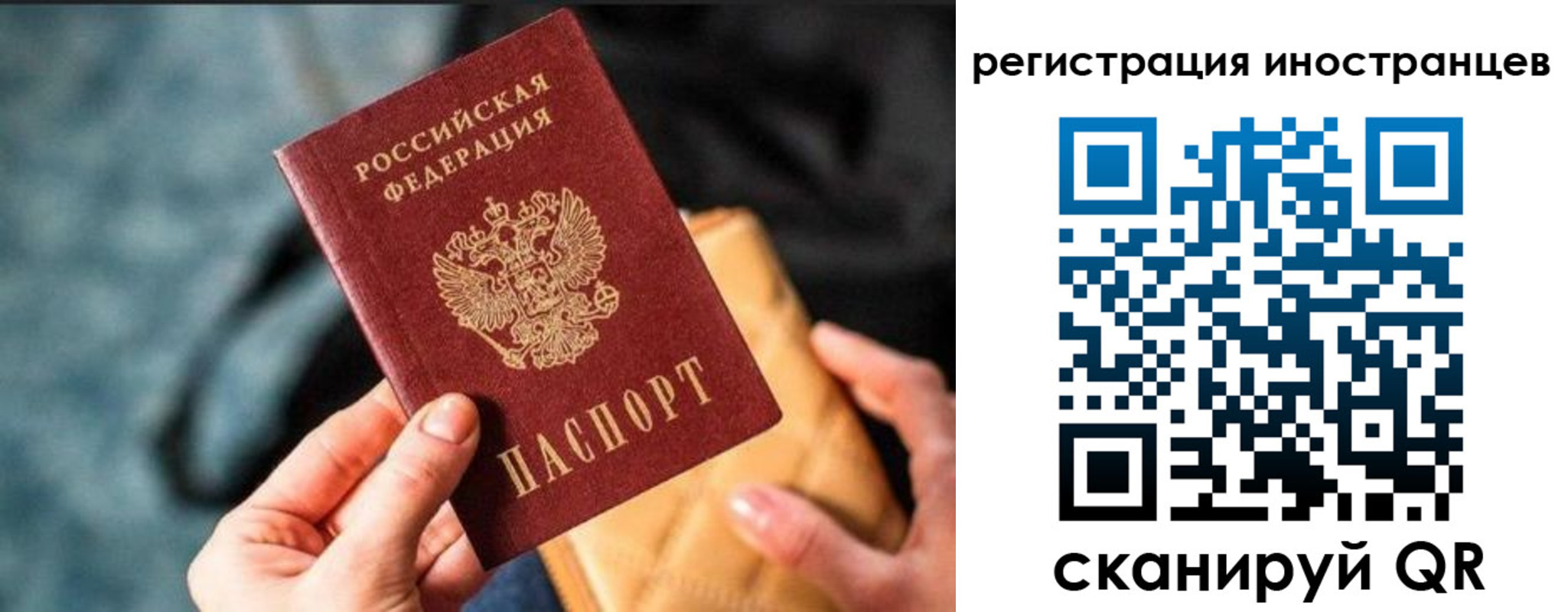 временная регистрация для всех в Сланцах